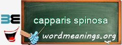 WordMeaning blackboard for capparis spinosa